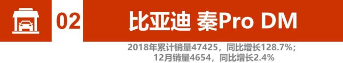 辣评2018新能源汽车销量：比亚迪、北汽竞争加剧 2019谁将更大有作为