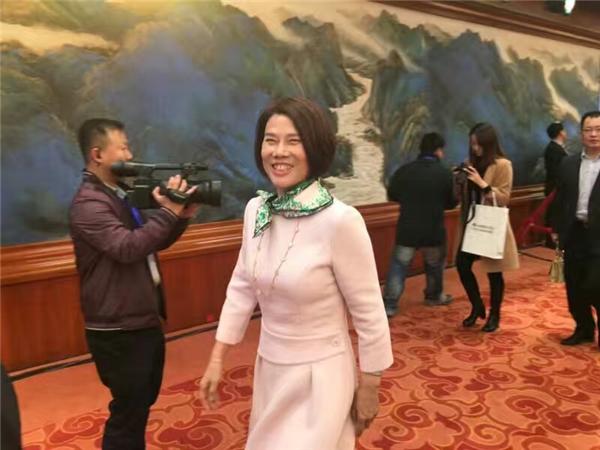 董小姐 王健林入股珠海银隆 增资30亿誓造车