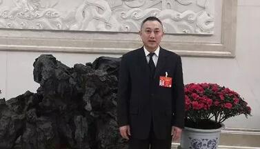 人大代表为何频频呼吁取消橡胶关税