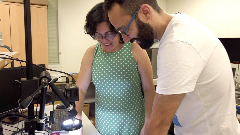 西班牙科学家采用3D打印技术制高性能电路 可用于车辆等设备