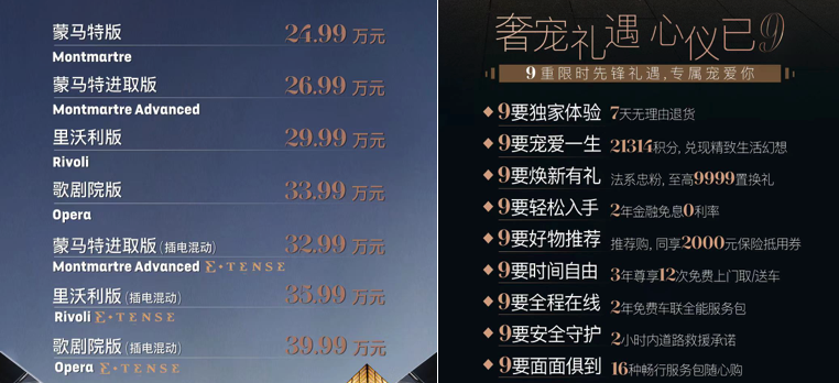 DS 9全球首发上市 售价24.99-39.99万元
