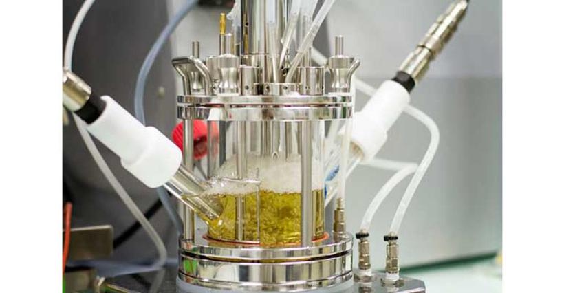 米其林合作生物化学公司Carbios 用回收塑料瓶制轮胎