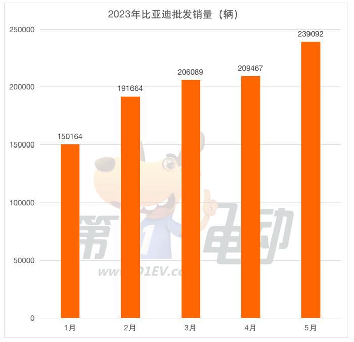 5月批发销量榜：比亚迪24万辆创新高  吉利环比下降近10%