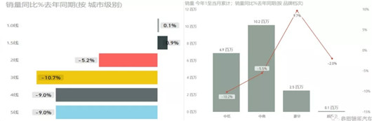 走过失落，看见希望——全年车市点评及展望