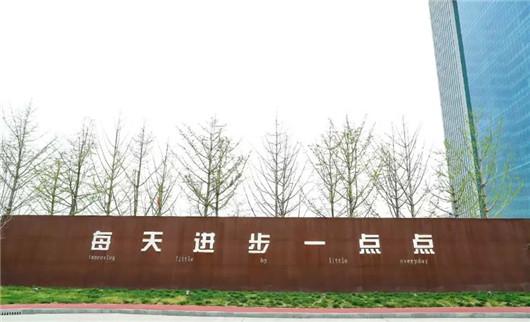 董小姐不懂魏先生