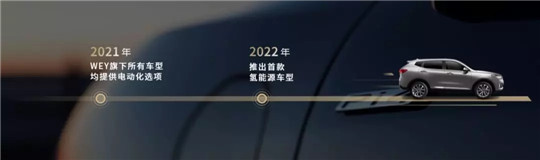 “魏”做赌注，3年博来的诗和远方