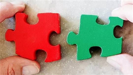 雷诺-日产最新变局：分工距离分家有多远？