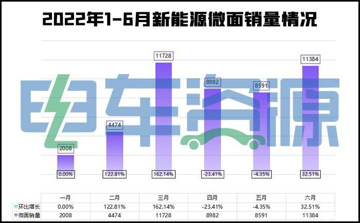 年销10万不是梦！新能源微面半年报 多款车型将突破去年全年销量